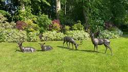 The Garth Pleasure Grounds Open Days