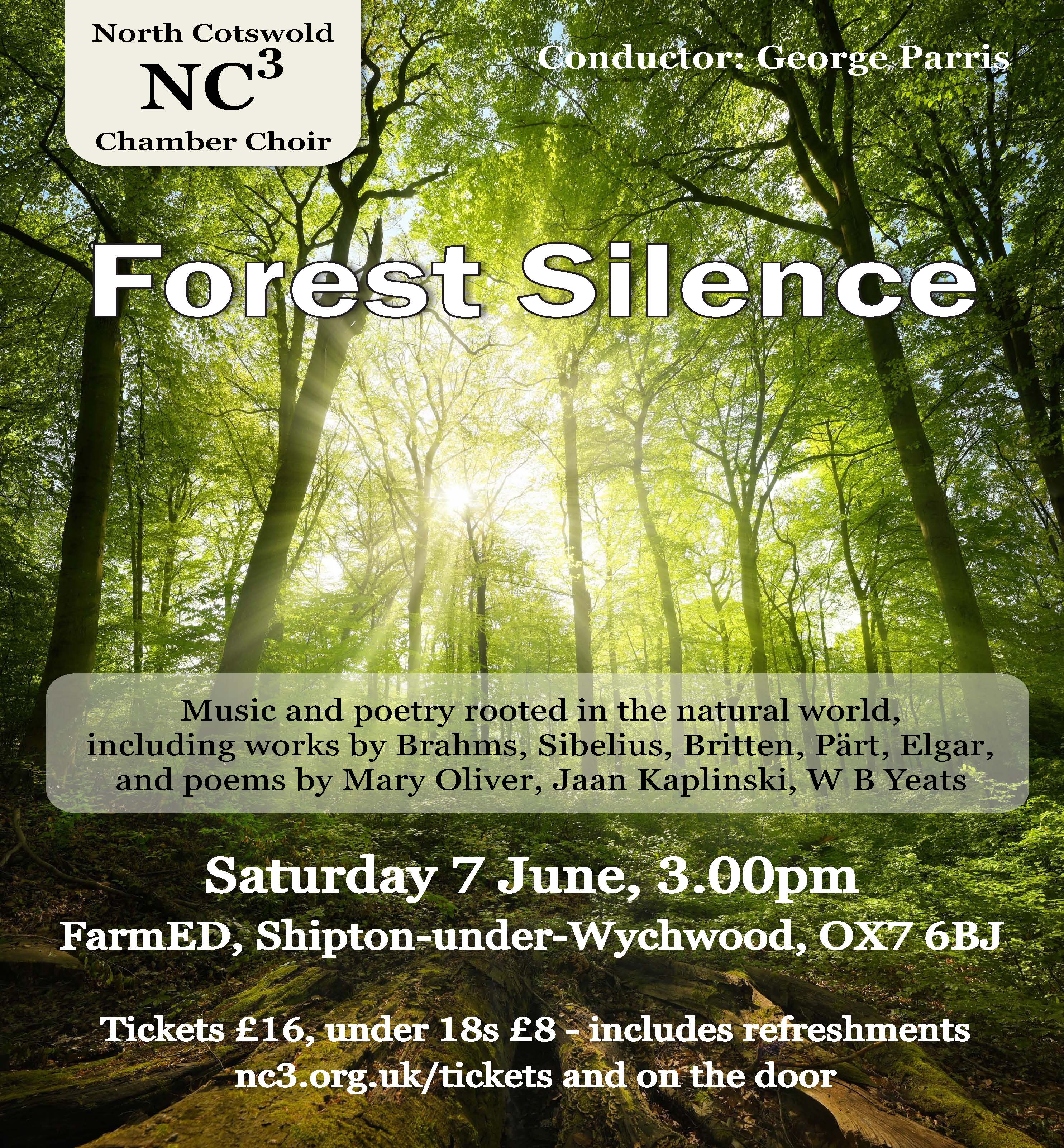 Forest Silence