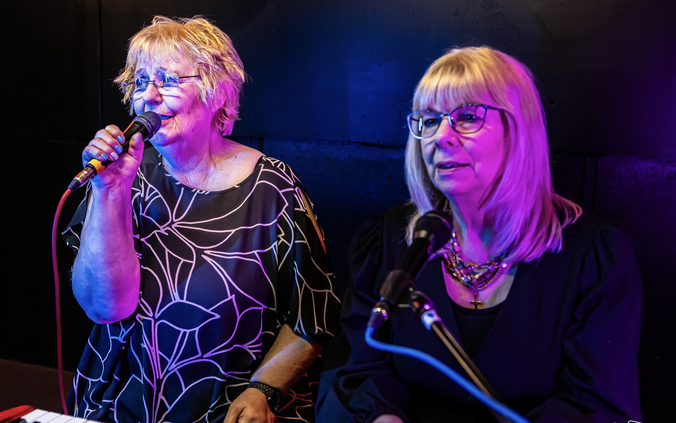 Country Music Night Hosted By Wing Song In Aid Of Guide Dogs