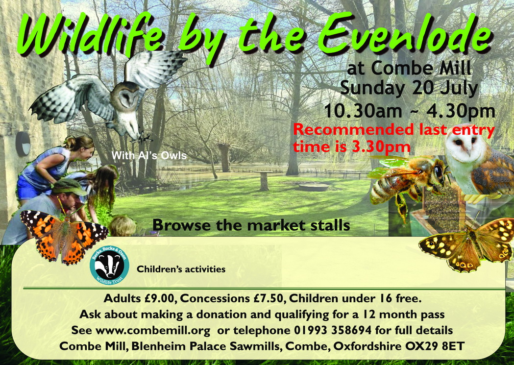 Wildlife by the Evenlode    Combe Mill 20th July 2025