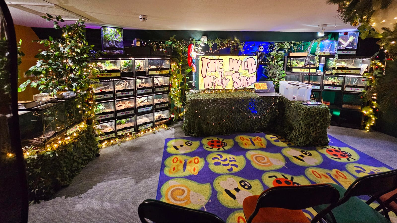 A Bugfest Before Christmas