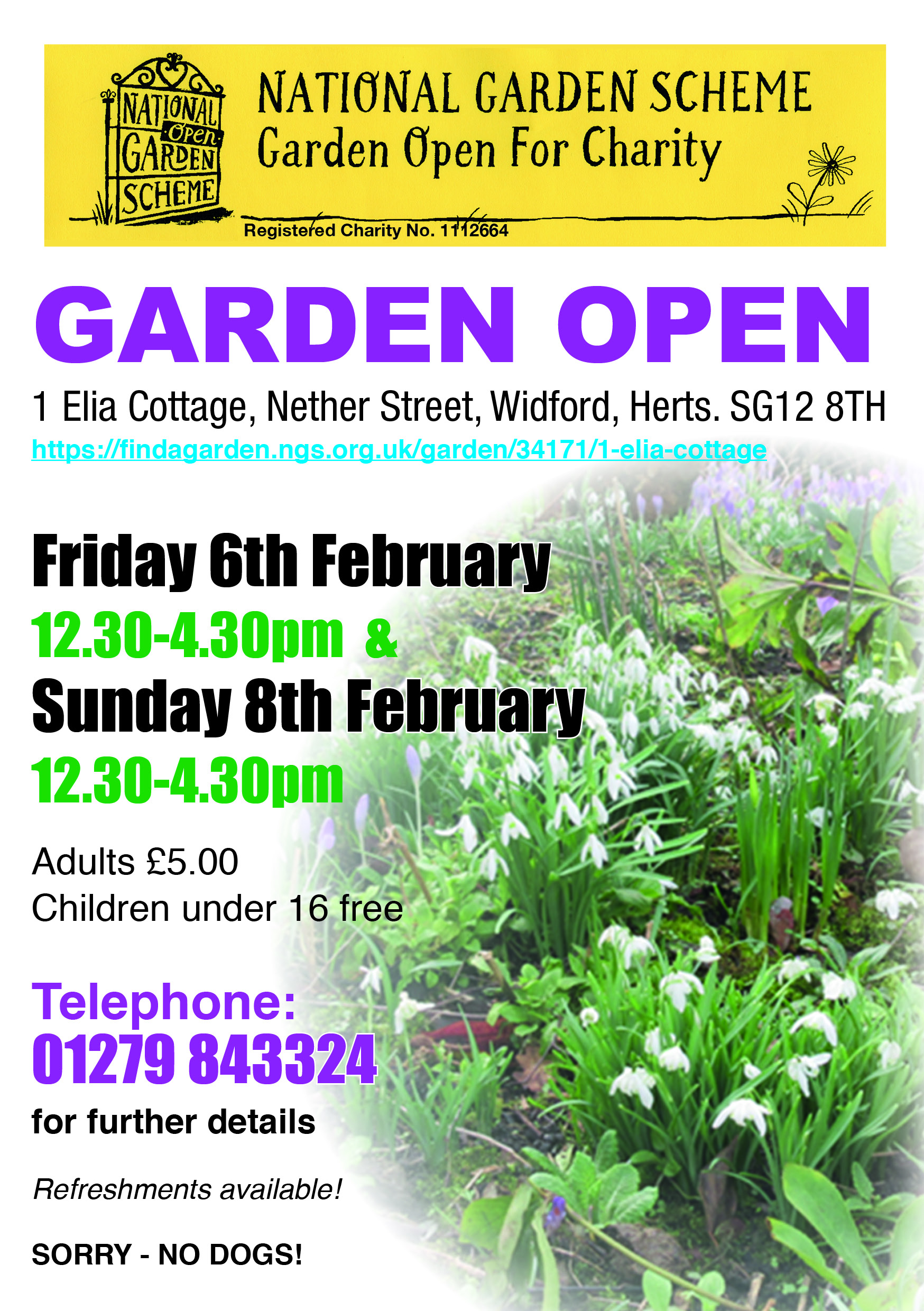 Garden Open for Snowdrops