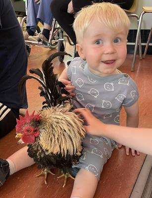 One World Animals Guildford Toddler Event