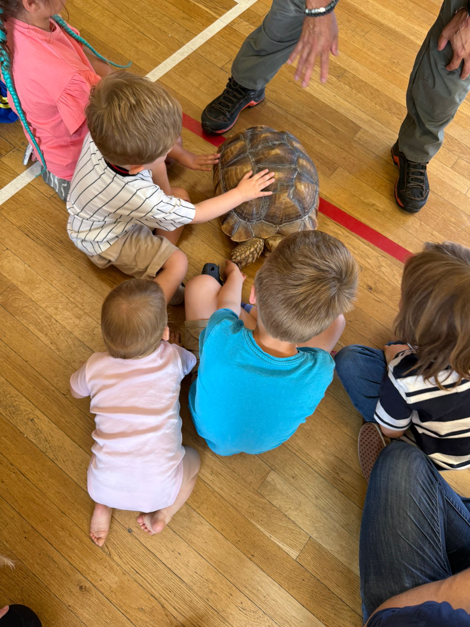 One World Animals Bourne End (Bucks) Toddler Event