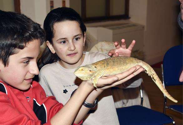 One World Animals Twickenham Family events