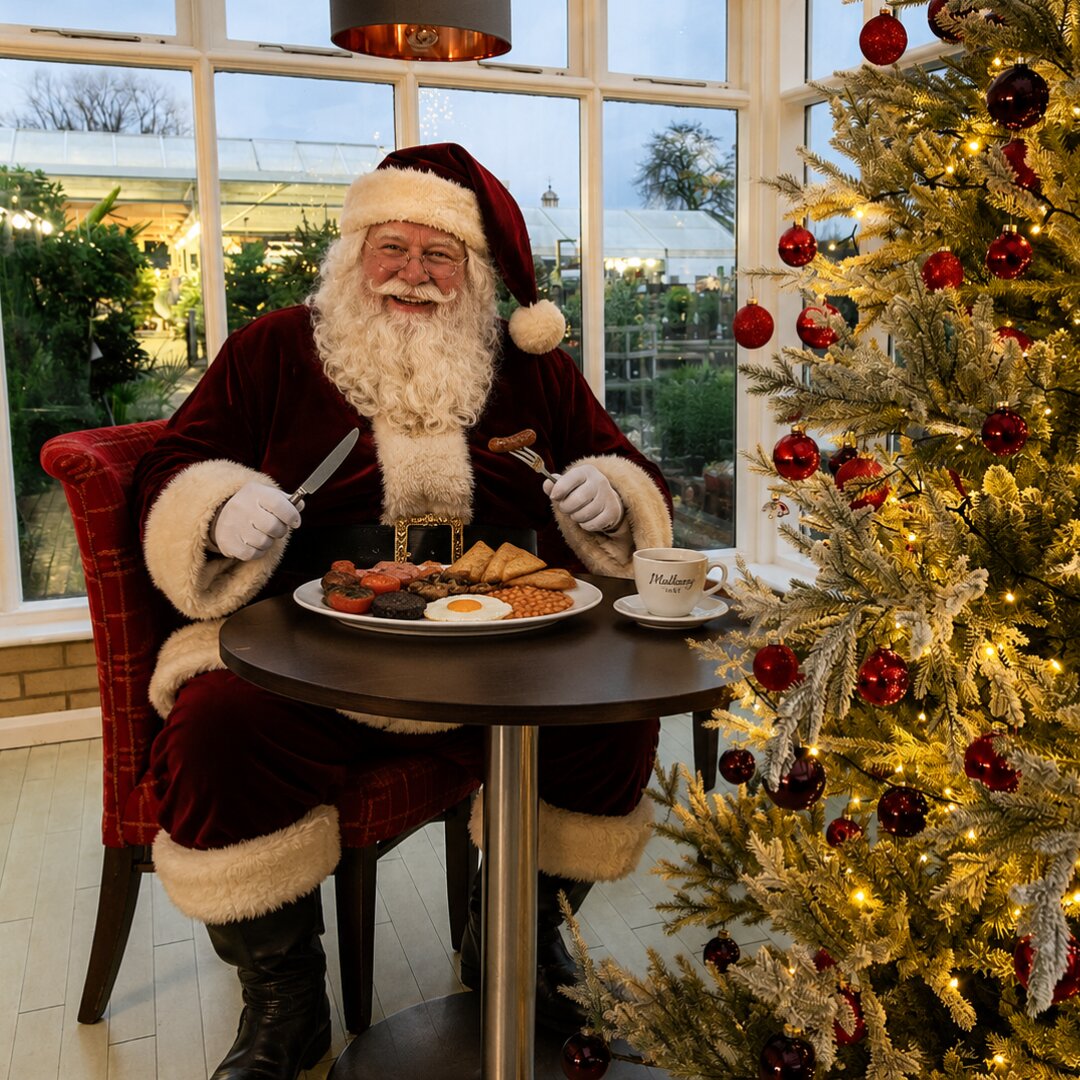 Breakfast with Santa