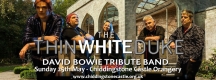 THIN WHITE DUKE - David Bowie Tribute
