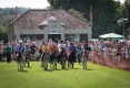 Godstone Fete & Donkey Derby