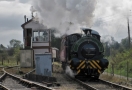 Northampton and Lamport Railway - Teddy Bear Weekend