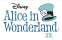 Dynamic Youth Theatre present Disney&rsquo;s Alice in Wonderland Jr.