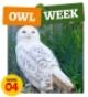 Owl Week at Birdworld