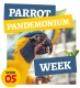 Parrot Pandemonium Week at Birdworld