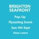 Fly Casting pop-up taster event Brighton Seafront