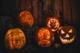 Halloween Maze & PYO Pumpkins Fordingbridge