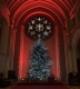 Powick Choir Christmas concerts 2022