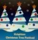 Knighton Christmas Tree Festival