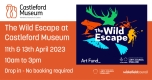 The Wild Escape at Castleford Museum