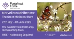 Marvellous Minibeasts Week: The Great Minibeast Hunt - Drop-in Family