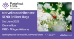 Marvellous Minibeasts Week: SEND Brilliant Bugs