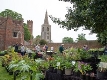 Buckden Towers Plant Sale