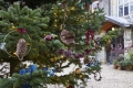 Standen&rsquo;s Courtyard Christmas Tree