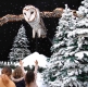 Santa’s Grotto and The Wishmas Owl bring joy and happiness to Lakeside