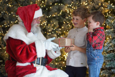 Dobbies Santa’s Grotto and other Experiences Dobbies Santa’s Grotto and other Experiences