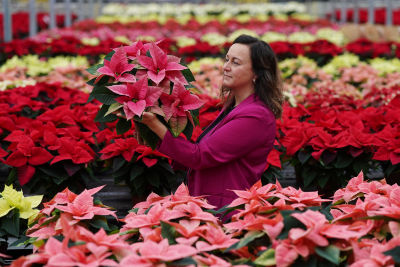 Dobbies’ Grow How session Dobbies’ Grow How session