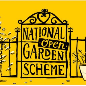 Marie Curie Hospice Garden - Open Garden for NGS