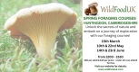 Foraging Course with Wild Food UK