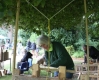 Green Woodworking Course