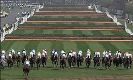 Horse Racing on TV