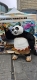 Meet Kung Fu Panda at Manchester Printworks