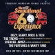 The Sensational 60s Experience