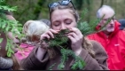 Forest bathing morning retreats at Standen I