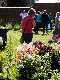 Buckden Towers Plant Sale 2024