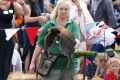 Gatton Country Fair