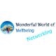Networking for Health and Wellbeing Professionals