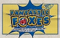 Fantastic Foxes