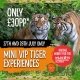 Tiger Charity Weekend at Woburn Safari Park