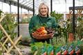 Free Gardening Workshops: Swansea