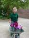 Cornwall Garden Society Evening Lecture