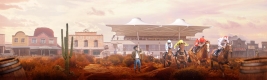 Country Racenight