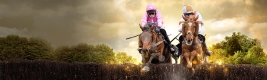 Southern National Countryside Race Day