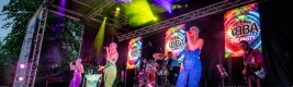 ABBA The Party