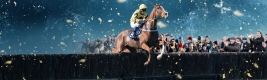 Christmas Party Raceday