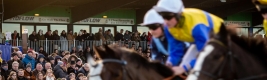 Boxing Day Racing