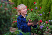 Dobbies&rsquo; Little Seedlings Club April workshops