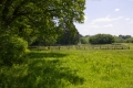 Orchard Guided Walk at Nymans
