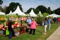 Wisley Flower Show